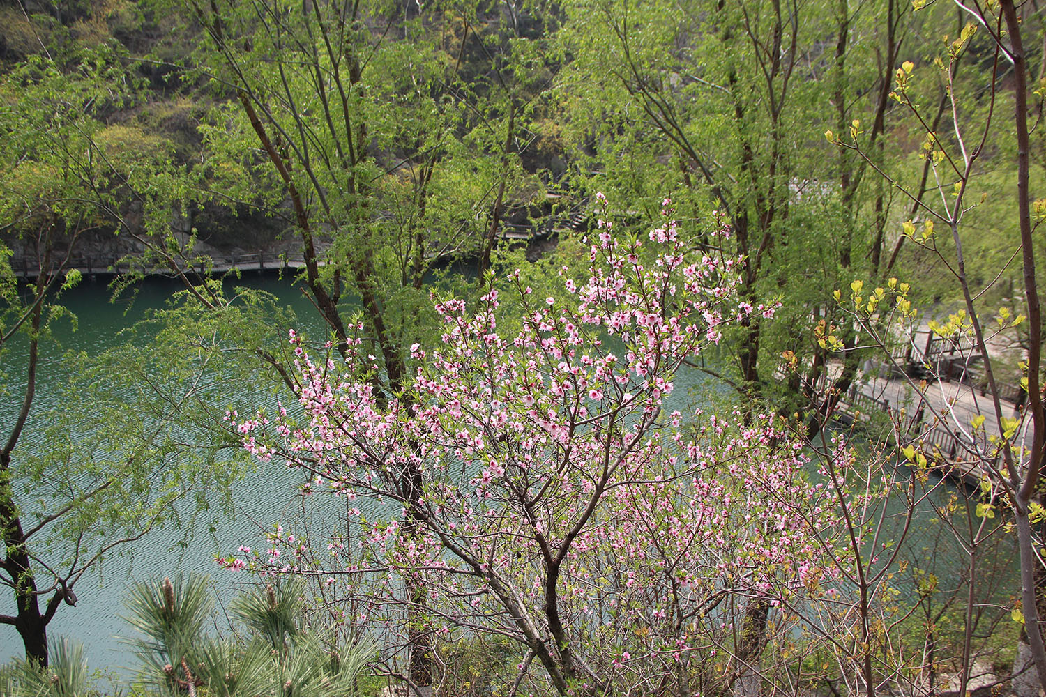 2021,濟(jì)南辰達(dá)試驗(yàn)機(jī)制造有限公司九如山一日游!